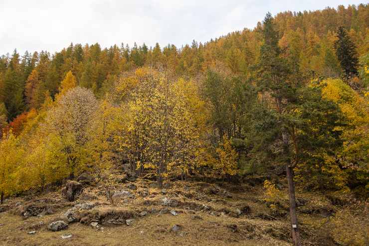 Il borgo più picolo e bello delle alpi