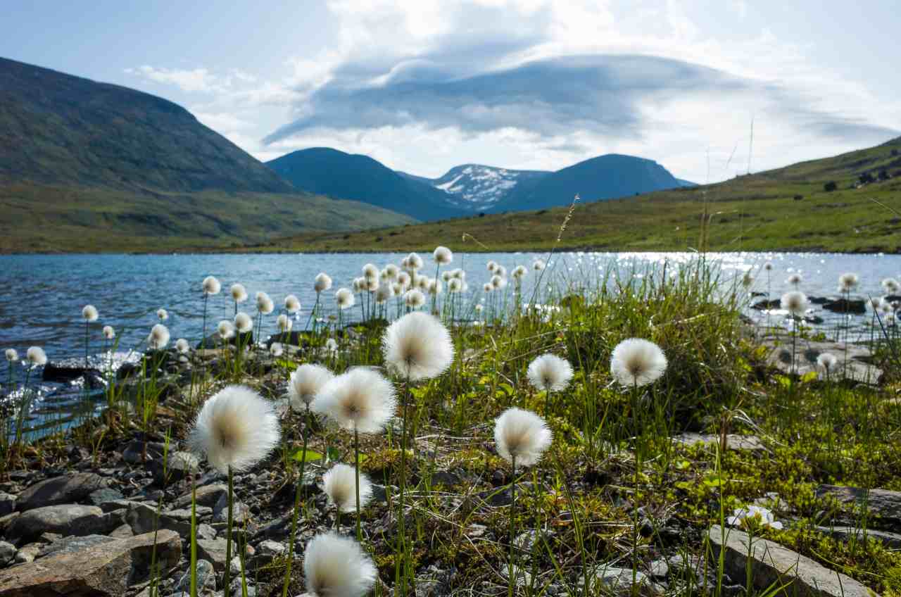 Ecco perchè dovremmo visitare la Lapponia in primavera