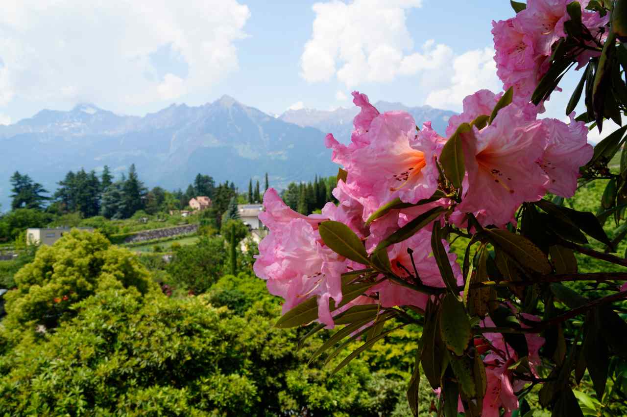 Il festival dei fiori di Merano