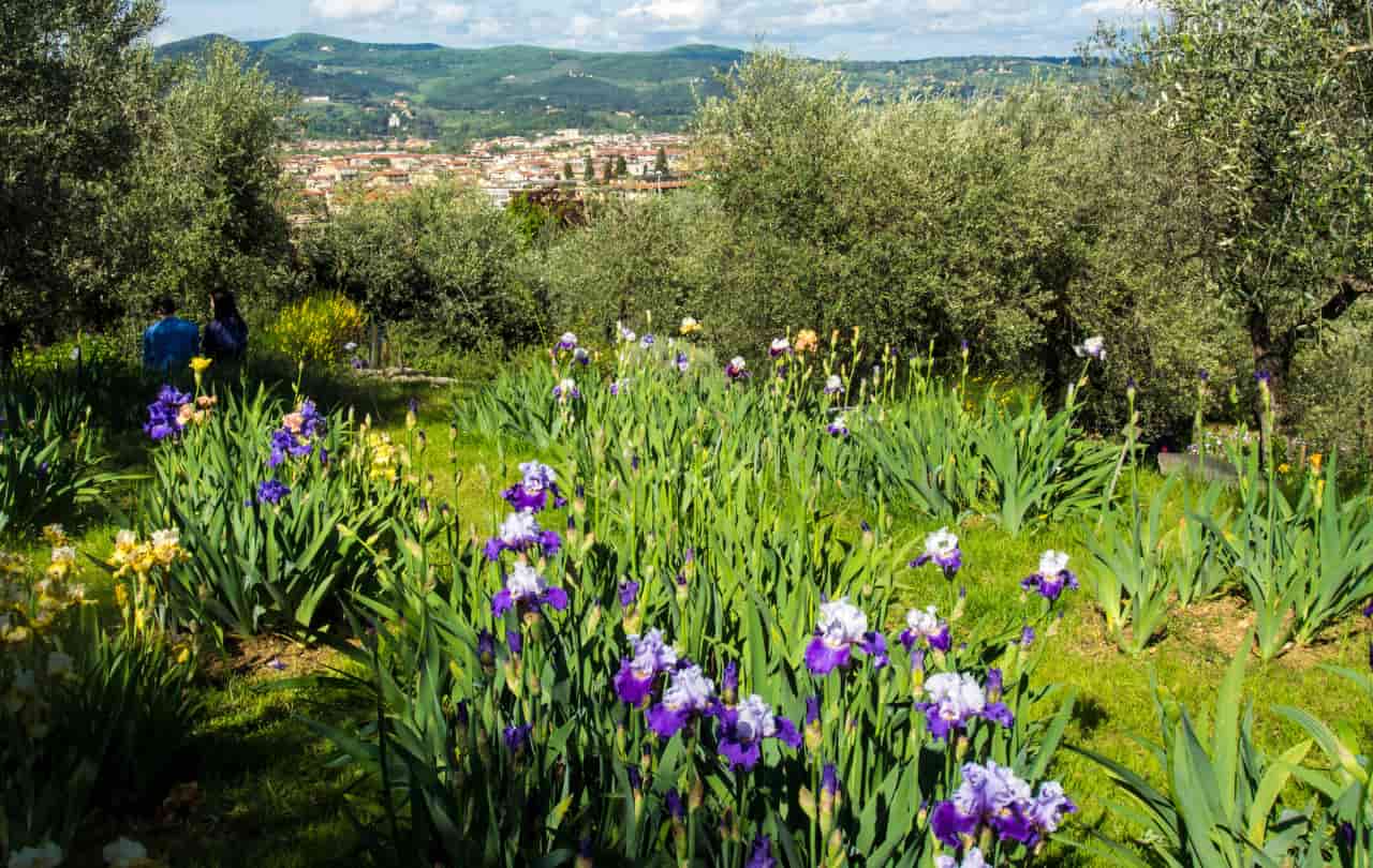 giardino iris firenze apertura 2022