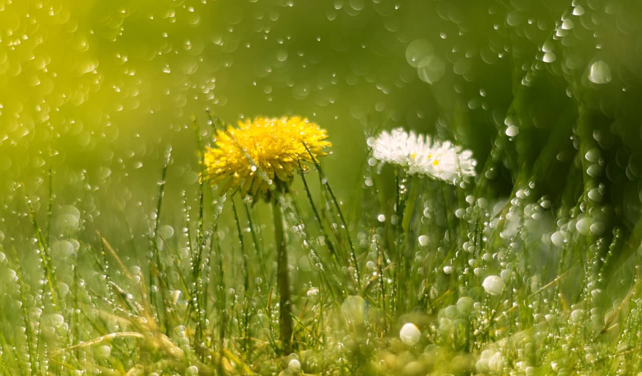 meteo settimana lunedì 4 aprile