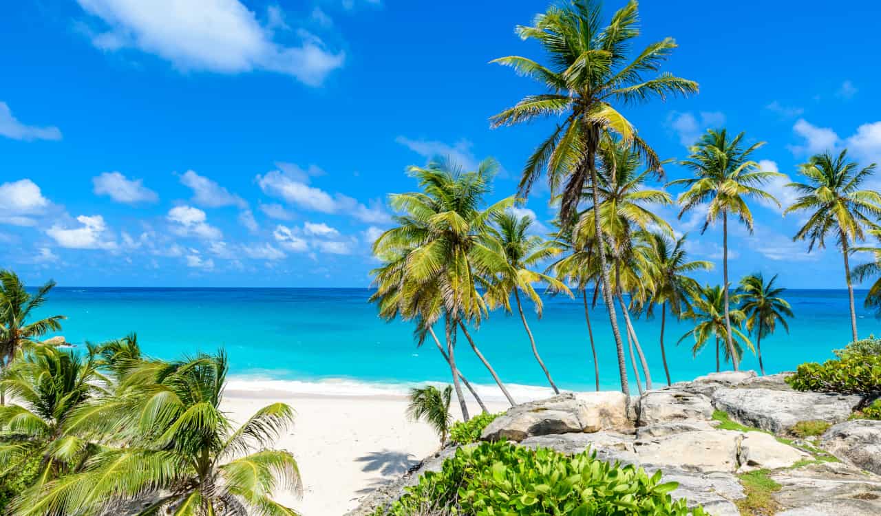 viaggi barbados tampone turisti