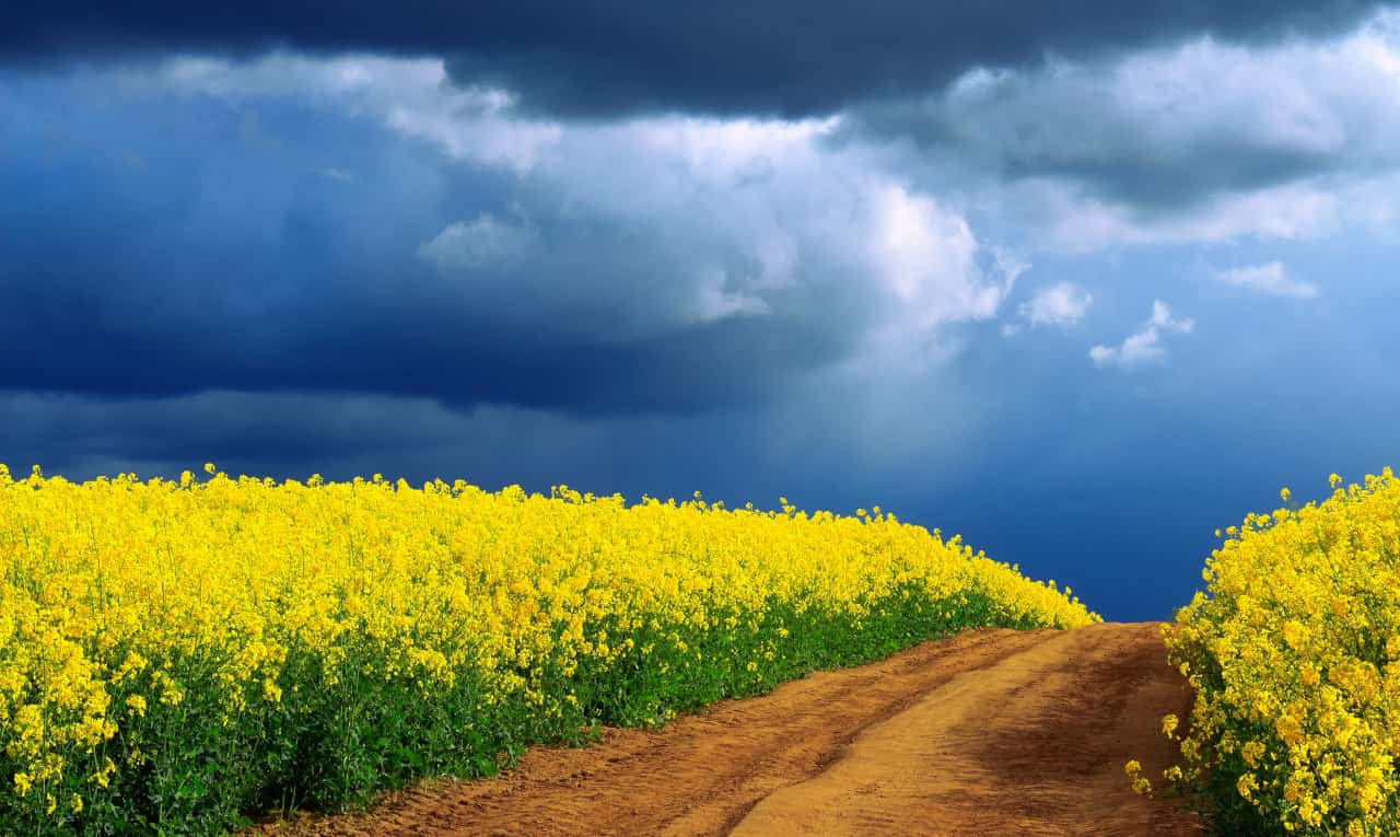 meteo settimana 2 maggio