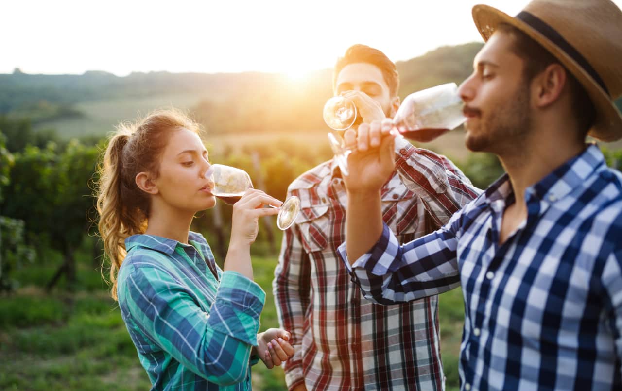 Cantine Aperte 2022: la festa del vino in tutta Italia, weekend 28-29 maggio cantine aperte 2022 vino