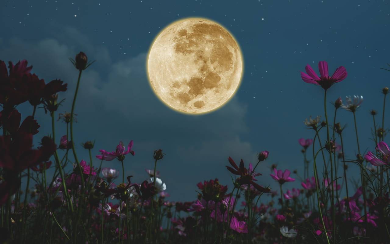 Cielo del mese di giugno 2022: la Superluna e gli altri spettacoli da vedere cielo giugno 2022 superluna