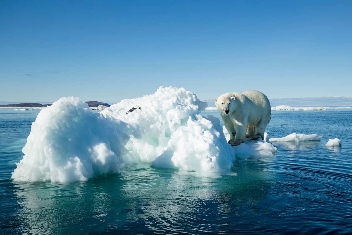Temperature sopra la media nel Circolo Polare Artico