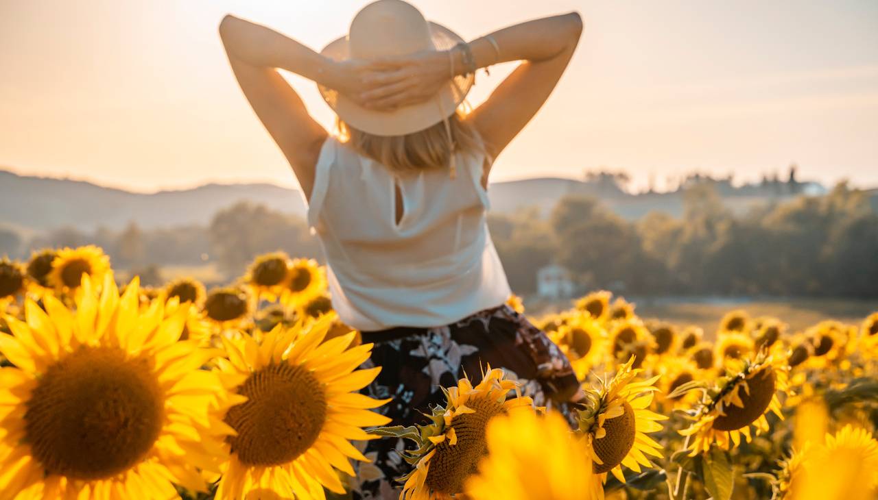 Girasoli in Toscana