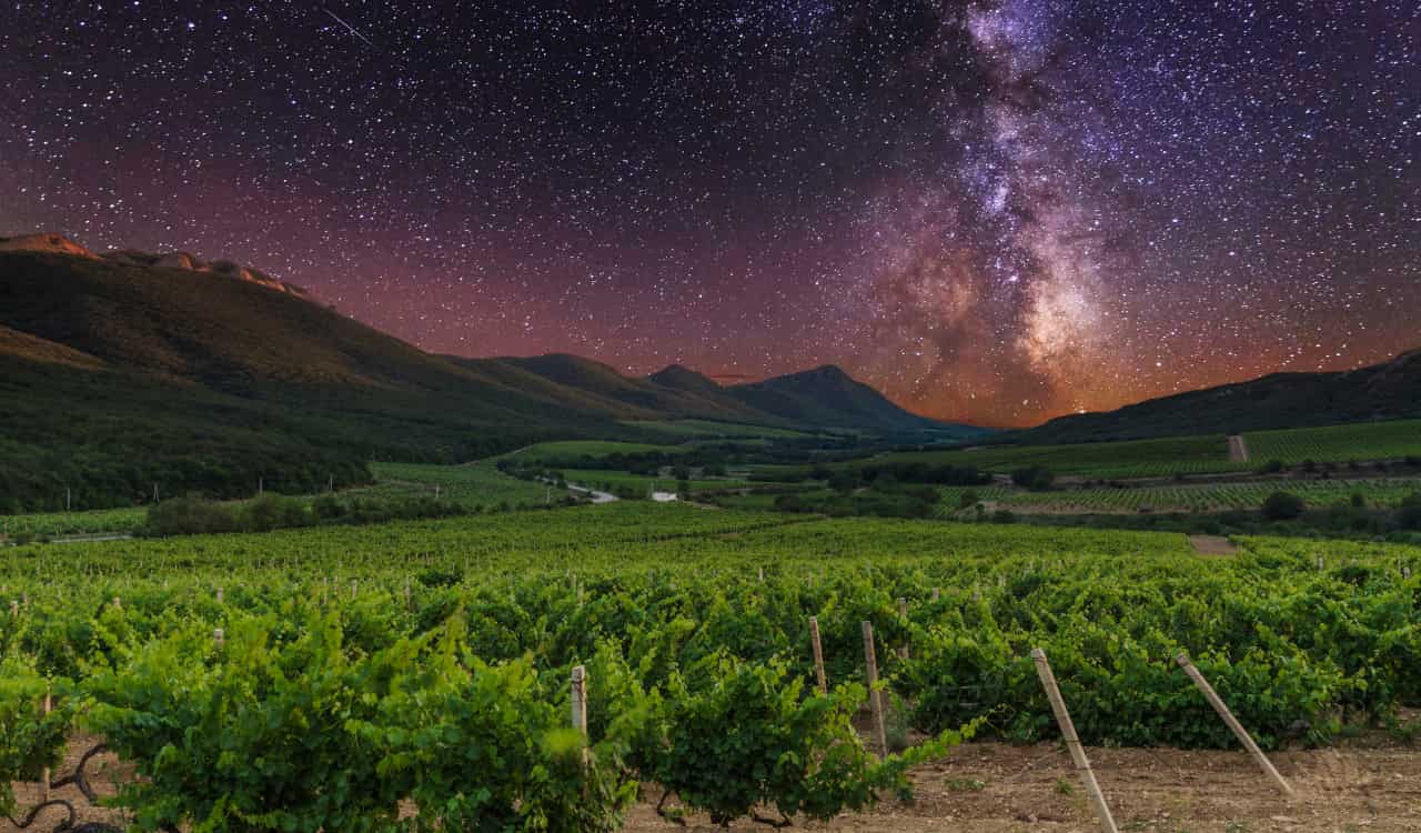 Calici di Stelle 2022: gli appuntamenti dedicati al vino e all'astronomia calici di stelle 2022
