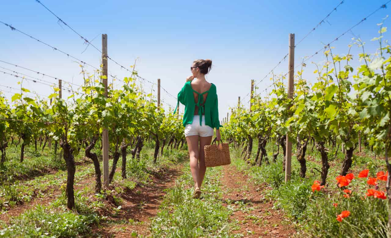 Ferragosto 2022 in agriturismo: le offerte last minute ferragosto 2022 agriturismo offerte