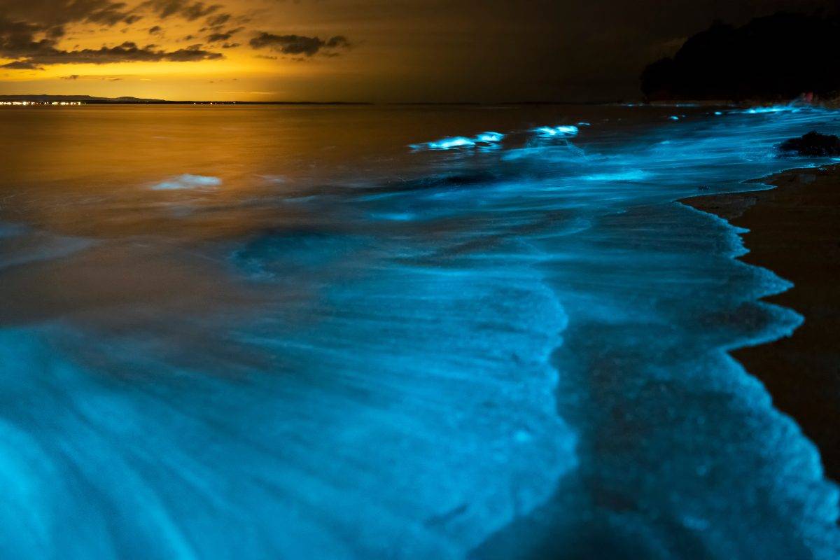 Mare e spiaggia illuminate di notte per via della bioluminescenza