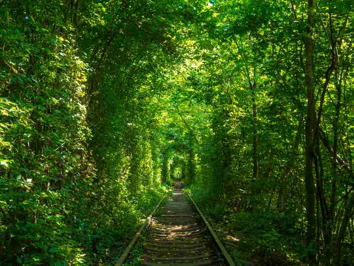 Tunnel dell'amore