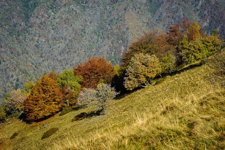 spettacolo arcobaleno foliage