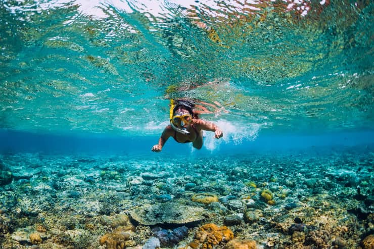 mar rosso snorkeling calabria