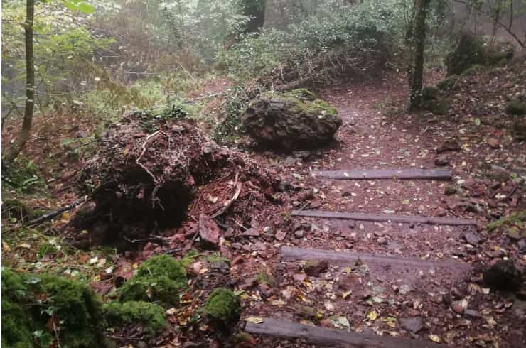 bosco biancaneve italia