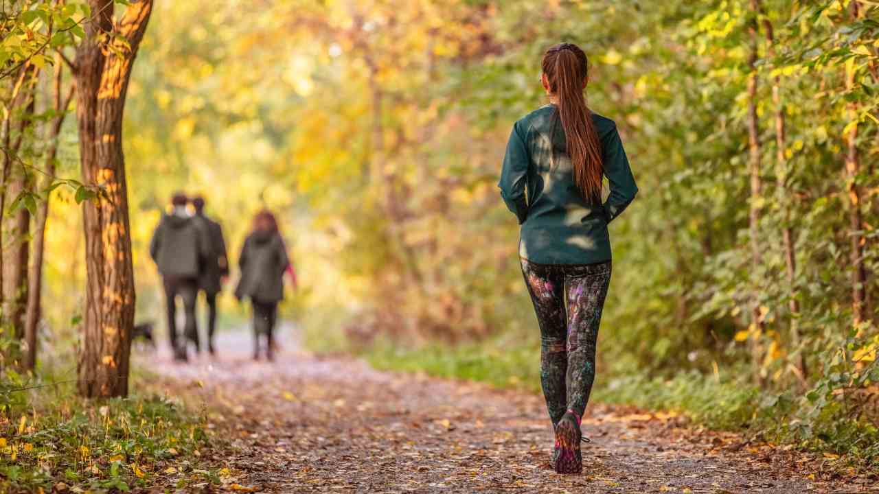 Passeggiate d'autunno