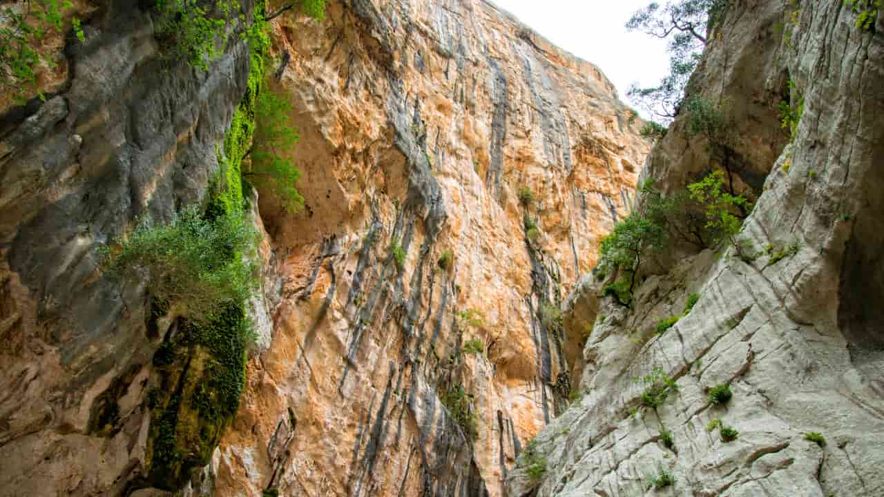 canyon bello europa italia