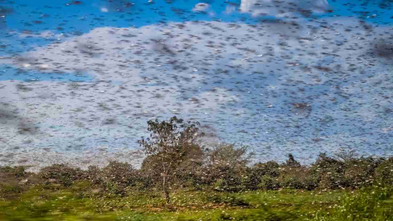 Rischiamo una nuova invasione sulla Terra