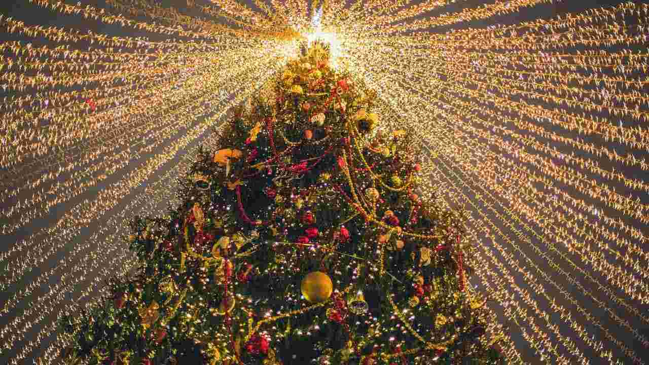 Gli alberi di Natale più strani e particolari al mondo: dovete vederli assolutamente