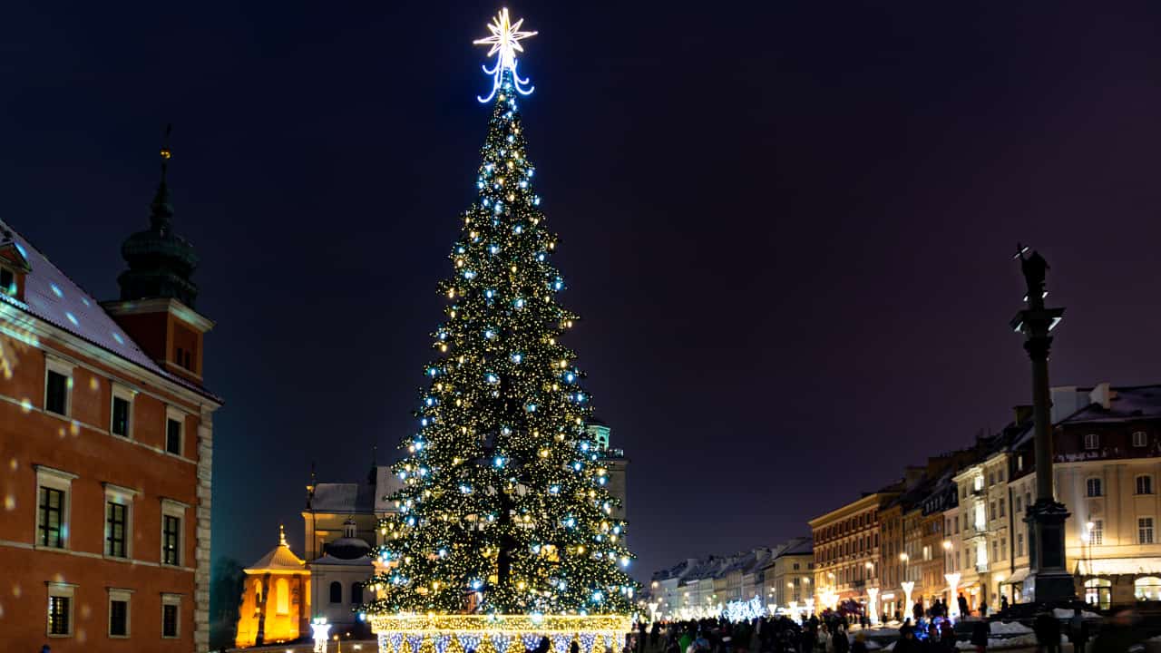 città alberi natale europa