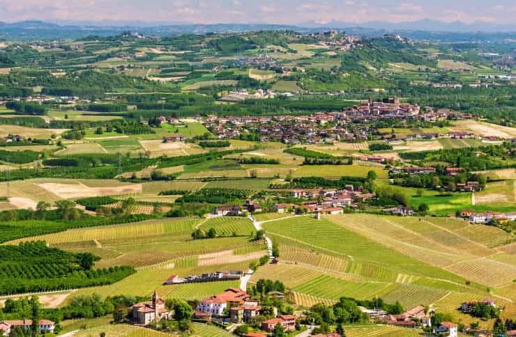 regione amata cibo vino