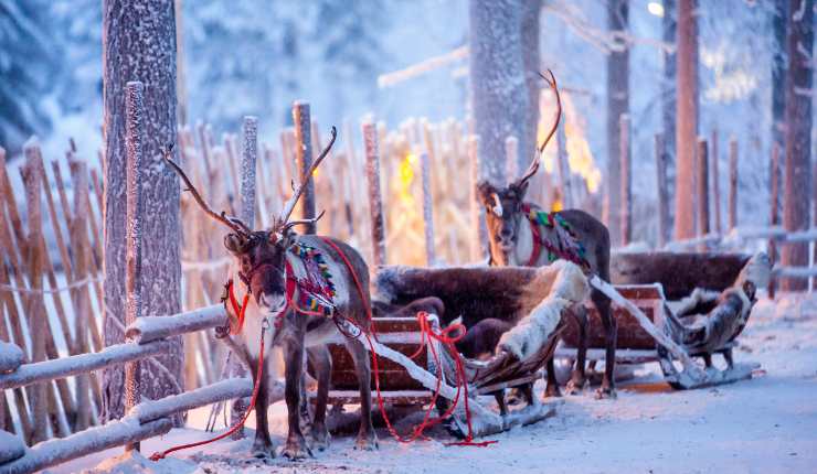 Una vacanza in Lapponia per Natale