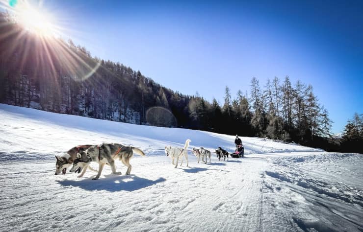 polo nord concorso viaggio