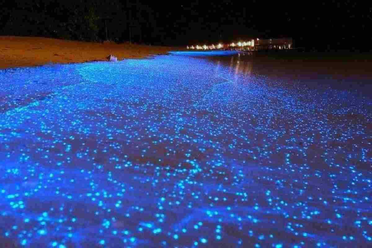 Spiagge luminose