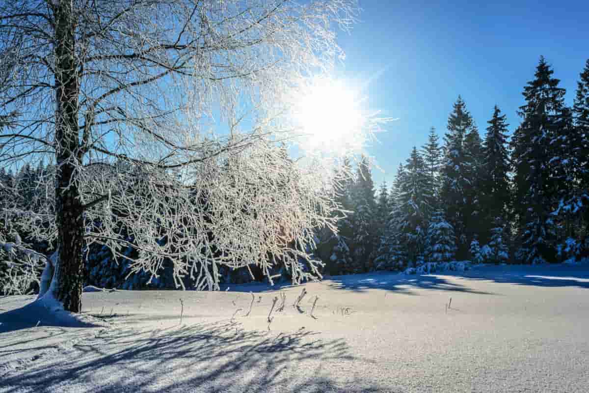 meteo fine febbraio freddo neve