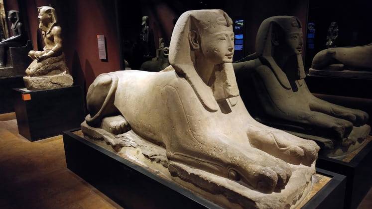 museo egizio gratis torino