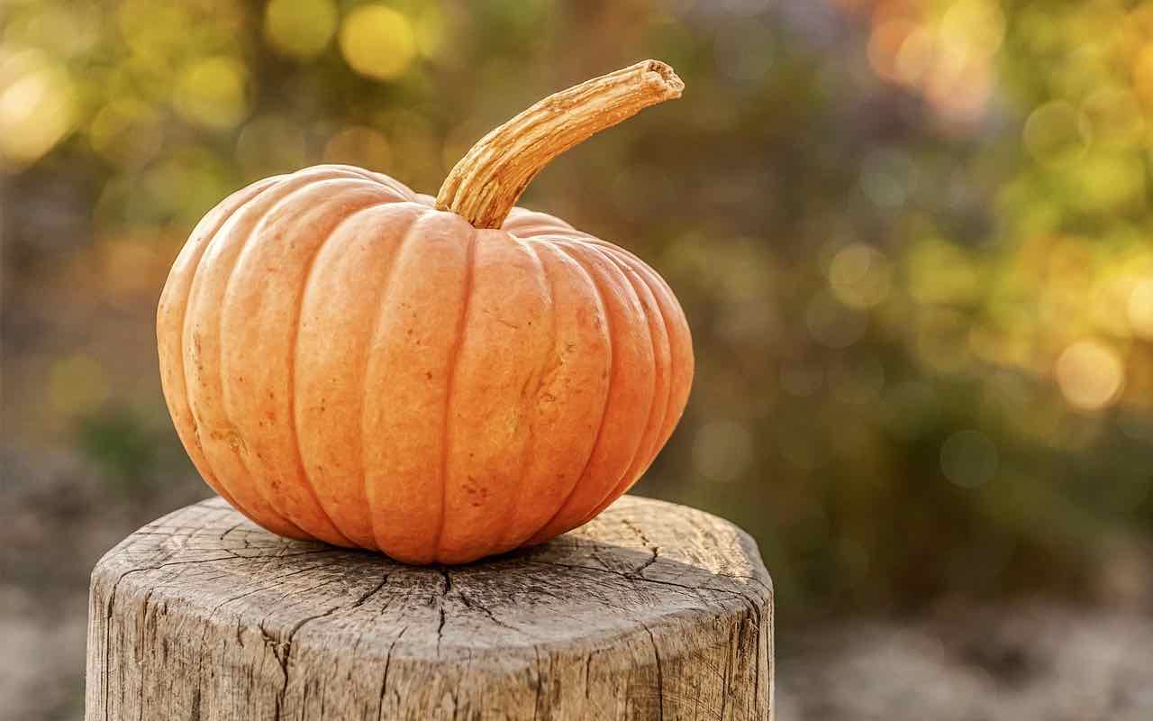 visita ai Pumpkin Patch italiani