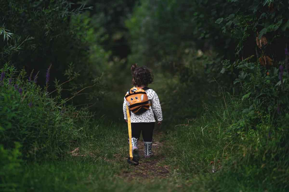 Il Forest Bathing sbarca in Italia: ecco cos'è