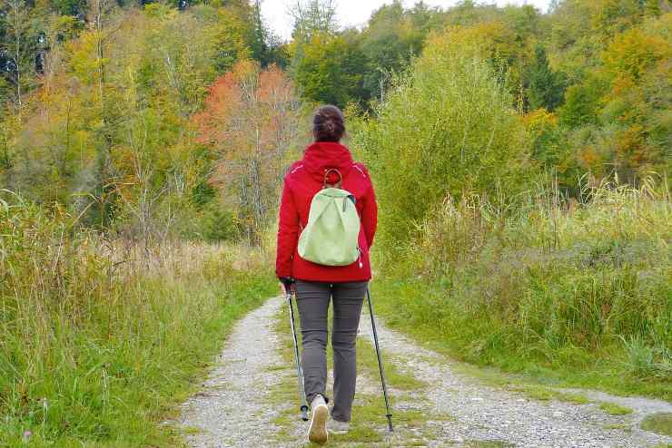 Il Forest Bathing sbarca in Italia: ecco cos'è e dove praticarlo