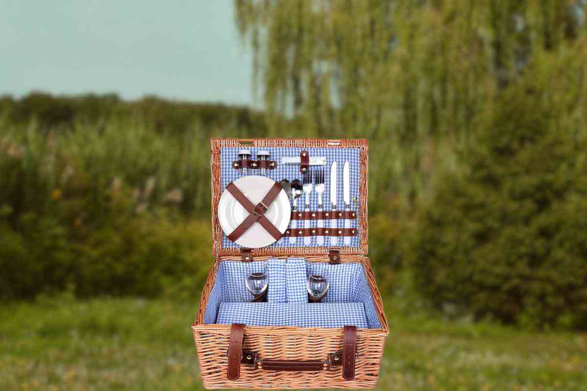set picnic Shramm