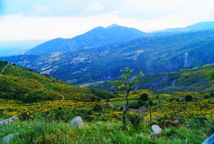Parco Nazionale del Pollino