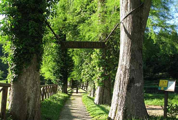 Parco di Villa Vittoria Mongiana Vibo Valentia