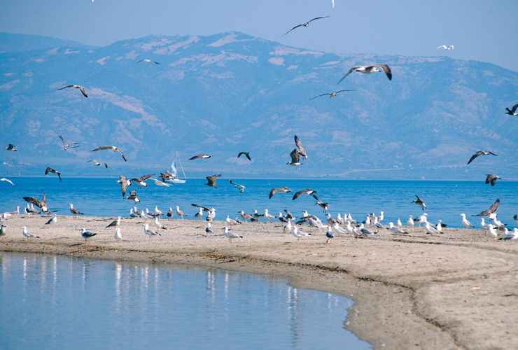 Riserva Naturale della Foce del Crati Calabria