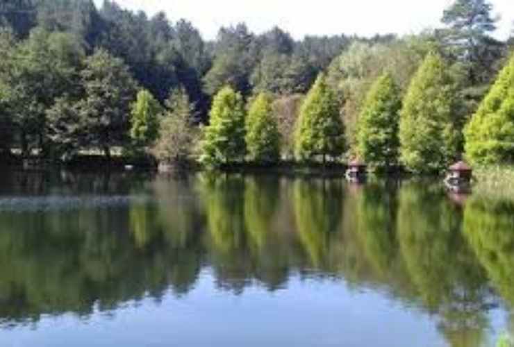 Riserva Naturale Statale Cropani-Micone calabria