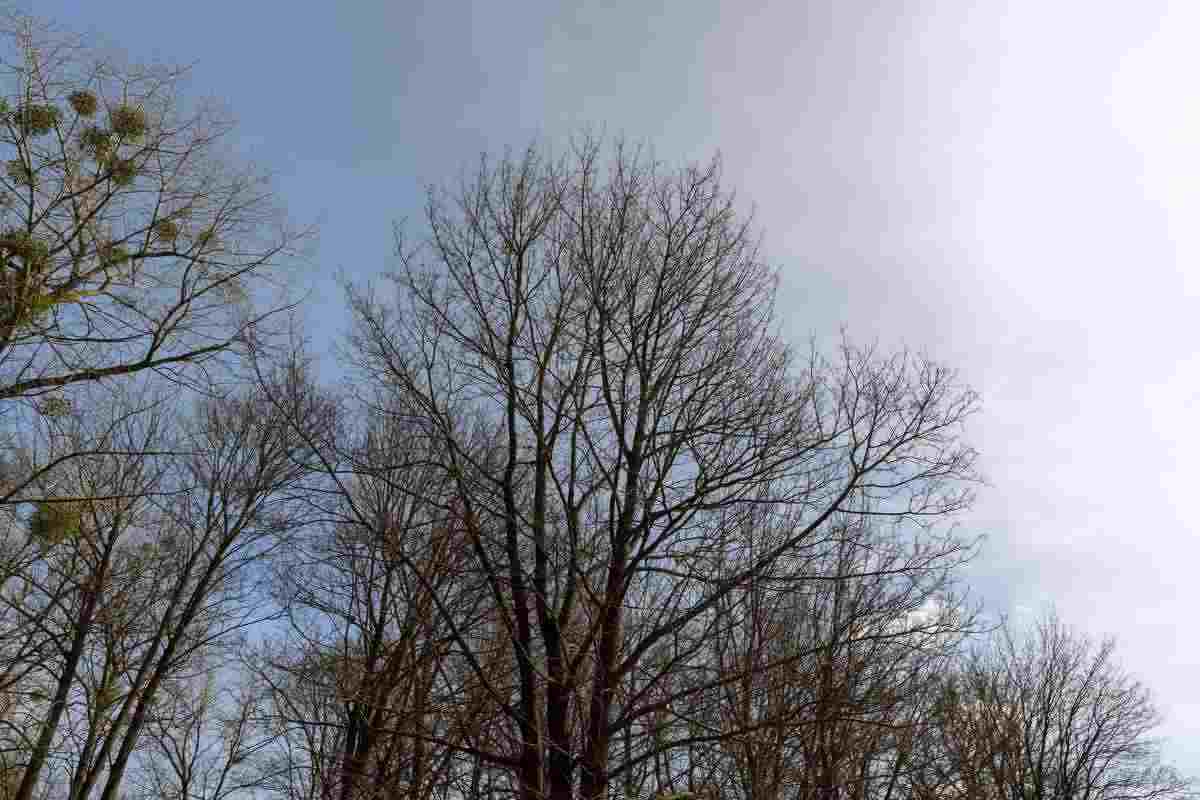 meteo svolta prossima settimana 