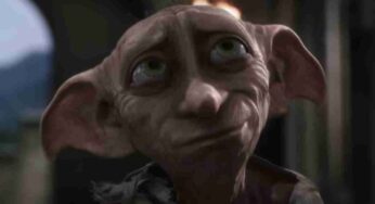 Qui si trova la tomba di Dobby, l’elfo di Harry Potter: una visita emozionante per i fans della serie