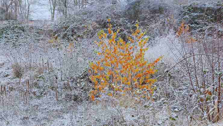 Svolta meteo, le previsioni degli esperti