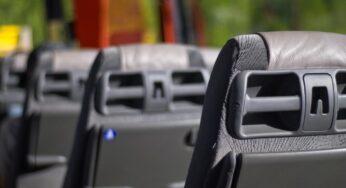 Non solo zaini o cellulari: quali sono gli oggetti più strani (al limite dell’assurdo) dimenticati sui bus