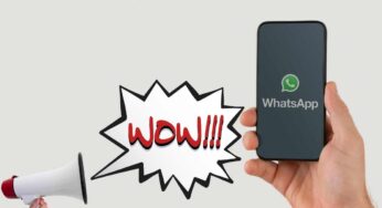 WhatsApp, svolta epocale: gli utenti non vedranno più questo sulle chat