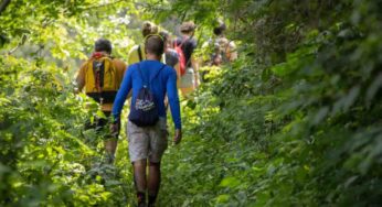 Trekking in Foresta nella natura selvaggia della Sardegna: puoi farlo anche in bici e non puoi perderlo