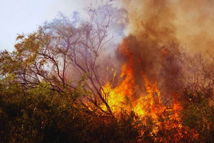incendio boschivo