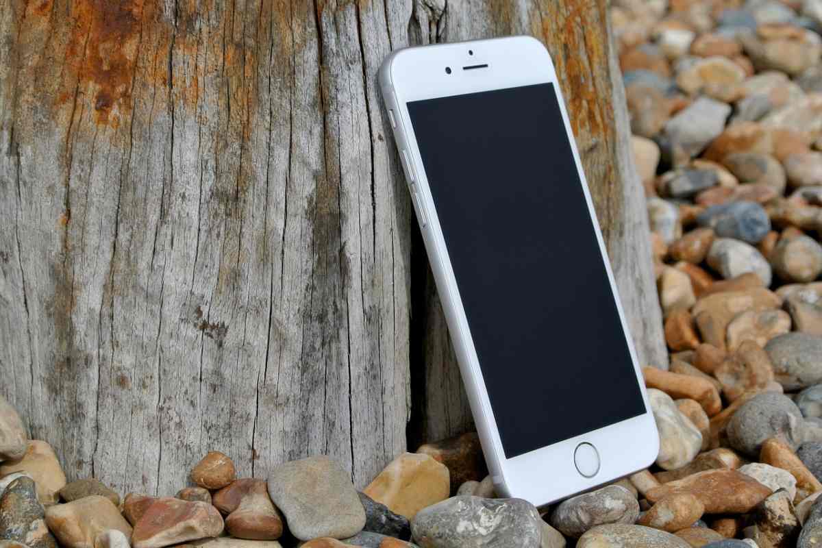 cellulare appoggiato al tronco di un albero