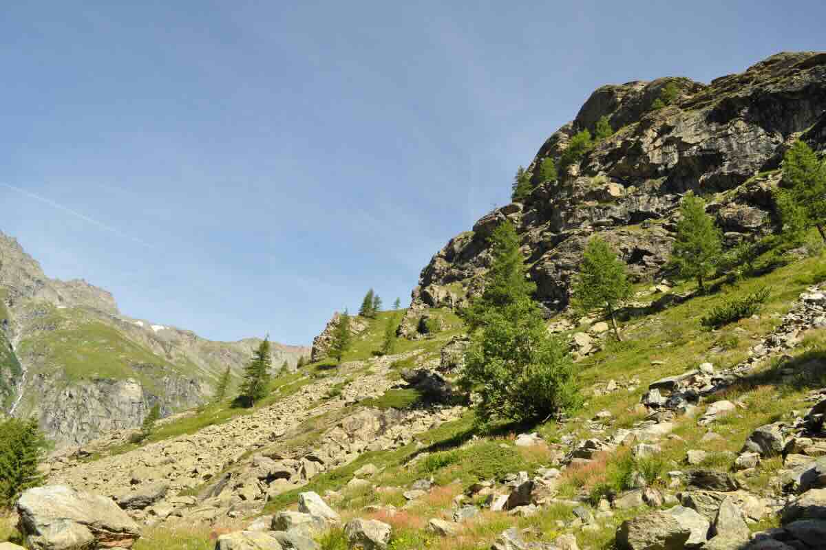 paesaggio verde nella natura Sardegna