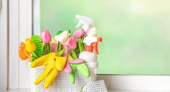Pulizie di primavera, non trascurare queste faccende: i consigli utili