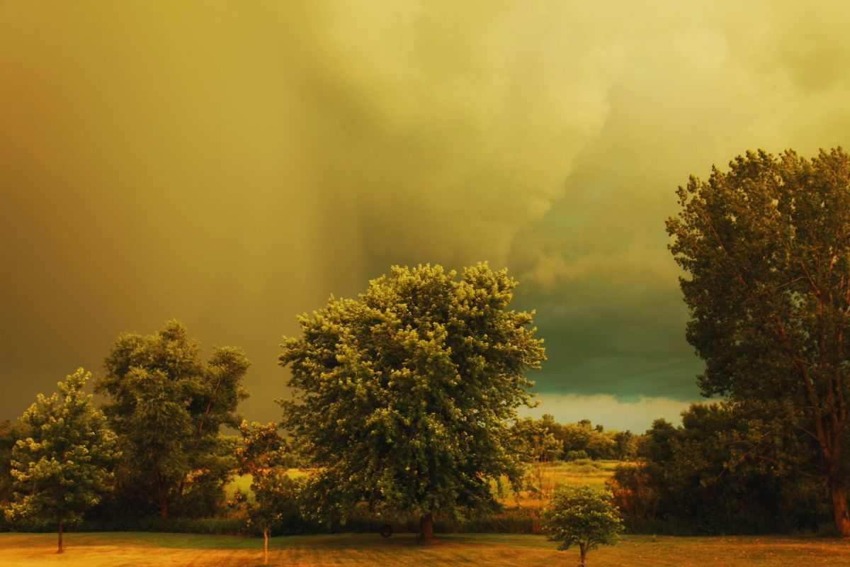 Nuvole cariche di pioggia e sabbia oscurano il cielo sopra una zona di campagna