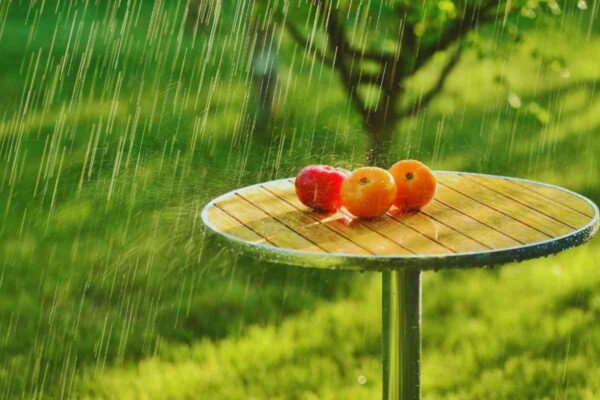 Pomodori poggiati su un tavolo da esterno che vengono inondati dalla pioggia