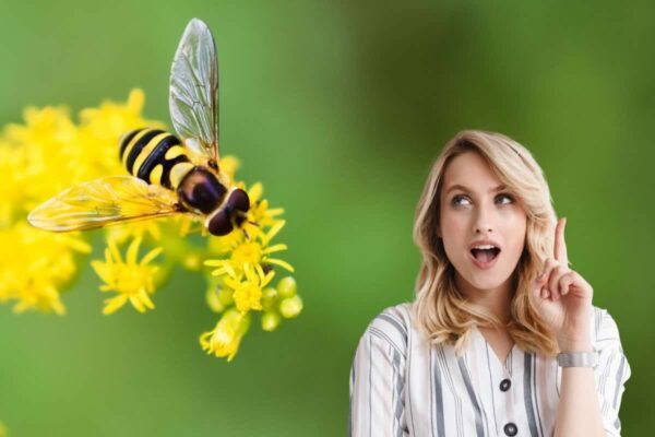 Ape su un fiore giallo e donna bionda a lato con dito alzato